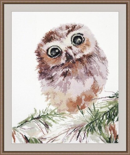 Wonderment 956 Counted Cross Stitch Kit