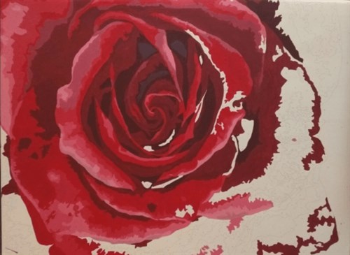 Painting by Numbers kit Crafting Spark Tender Rose B114 19.69 x 15.75 in