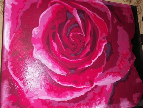 Painting by Numbers kit Crafting Spark Tender Rose B114 19.69 x 15.75 in