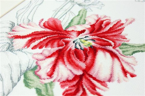 Red tulips B2241L Counted Cross-Stitch Kit