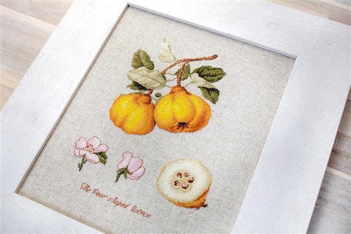 The Pear shaped Quince BA22430L Counted Cross-Stitch Kit