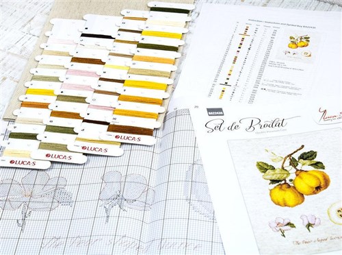 The Pear shaped Quince BA22430L Counted Cross-Stitch Kit