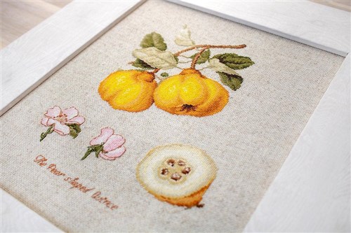 The Pear shaped Quince BA22430L Counted Cross-Stitch Kit
