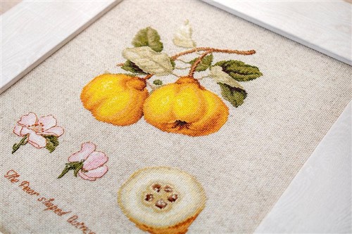 The Pear shaped Quince BA22430L Counted Cross-Stitch Kit