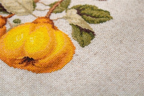 The Pear shaped Quince BA22430L Counted Cross-Stitch Kit