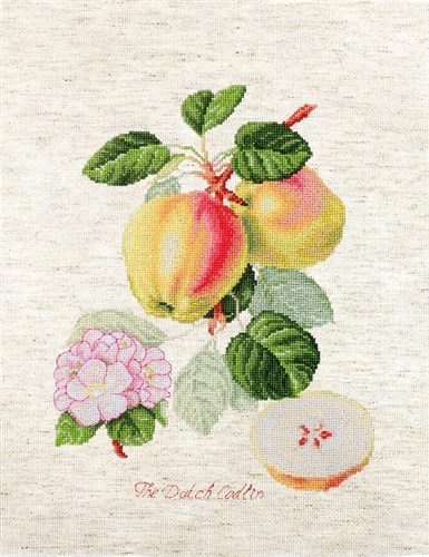 The Dutch Codlin BA22440L Counted Cross-Stitch Kit