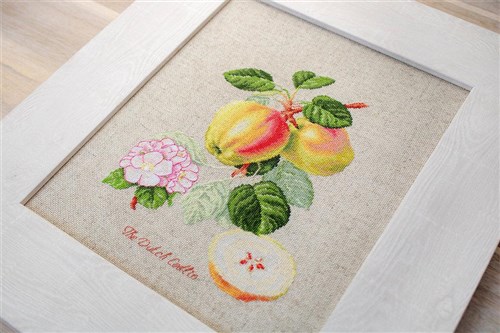 The Dutch Codlin BA22440L Counted Cross-Stitch Kit