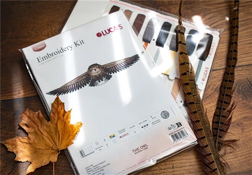 The Owl CD005l Counted Cross-Stitch Kit