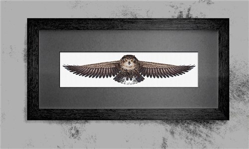The Owl CD005l Counted Cross-Stitch Kit