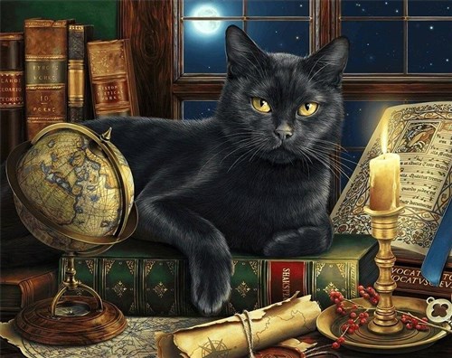 Wise Cat Diamond Painting Kit