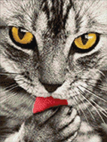 Kitten Diamond Painting Kit