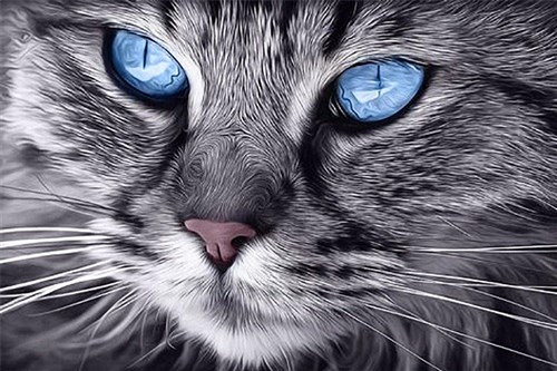 Blue-Eyed Ca Diamond Painting Kit