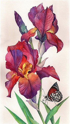 Irises Diamond Painting Kit