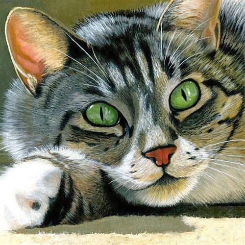 Intrigue Diamond Painting Kit