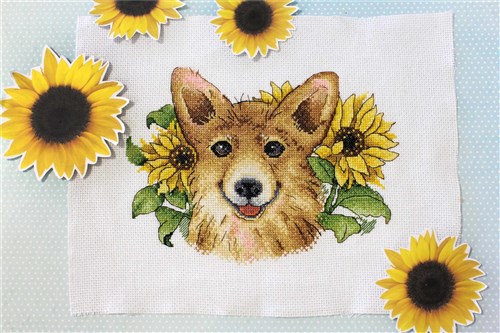 Sunny Corgy M-503 / SM-503 Counted Cross Stitch Kit