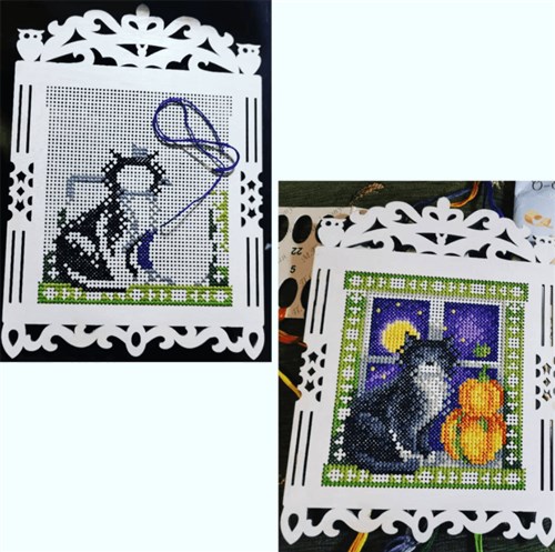 Black Cat O-003