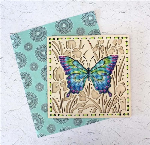 Butterfly O-015