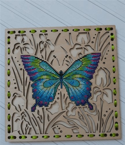 Butterfly O-015