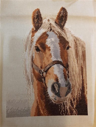 Adel 1-17 Counted Cross-Stitch Kit