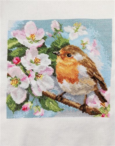 Robin 1-20 Counted Cross-Stitch Kit