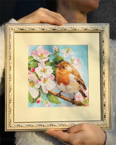 Robin 1-20 Counted Cross-Stitch Kit