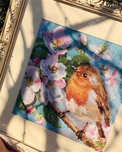 Robin 1-20 Counted Cross-Stitch Kit