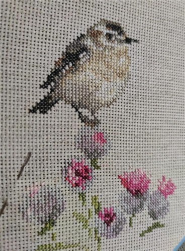 Little Bird 2 1-26 Counted Cross-Stitch Kit