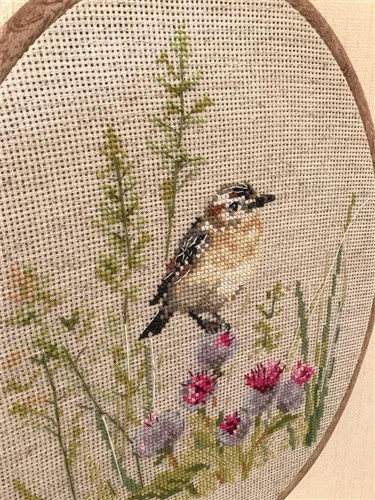 Little Bird 2 1-26 Counted Cross-Stitch Kit