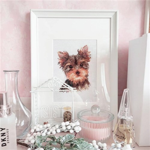 York 1-29 Counted Cross-Stitch Kit