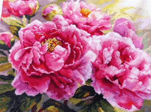 Peonies 2-35 Counted Cross-Stitch Kit