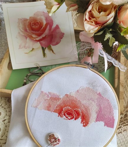 Rose Tenderness 2-40 Counted Cross-Stitch Kit