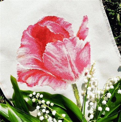 Tulips. Crimson Glow 2-43 Counted Cross-Stitch Kit