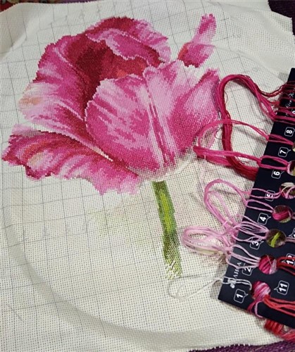 Tulips. Crimson Glow 2-43 Counted Cross-Stitch Kit