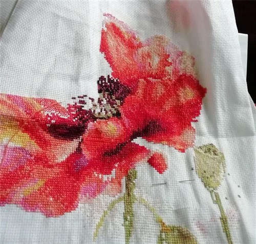 Bright Red Poppy 2-46 Counted Cross-Stitch Kit