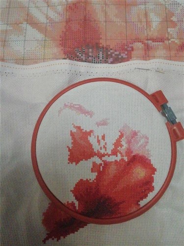 Bright Red Poppy 2-46 Counted Cross-Stitch Kit