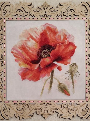 Bright Red Poppy 2-46 Counted Cross-Stitch Kit