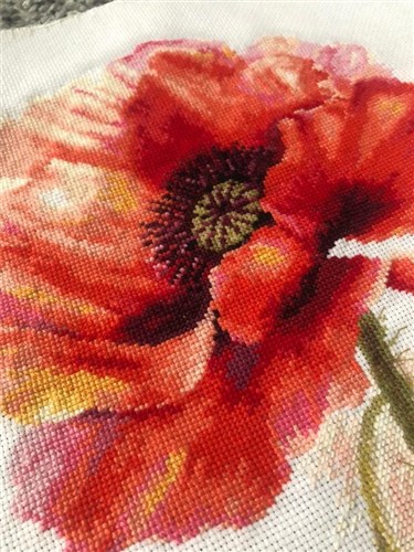 Bright Red Poppy 2-46 Counted Cross-Stitch Kit