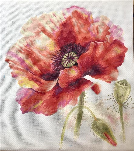 Bright Red Poppy 2-46 Counted Cross-Stitch Kit