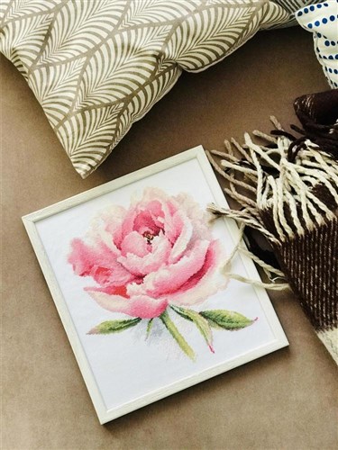 Tender Peony 2-47 Counted Cross-Stitch Kit