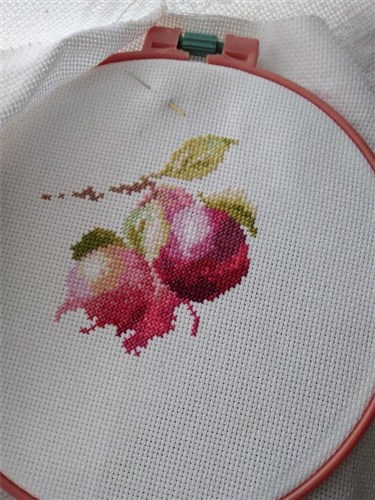Warblers & Plums 5-17 Counted Cross-Stitch Kit