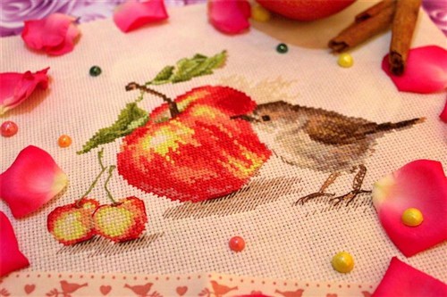 Bird and an Apple 5-22 Counted Cross-Stitch Kit