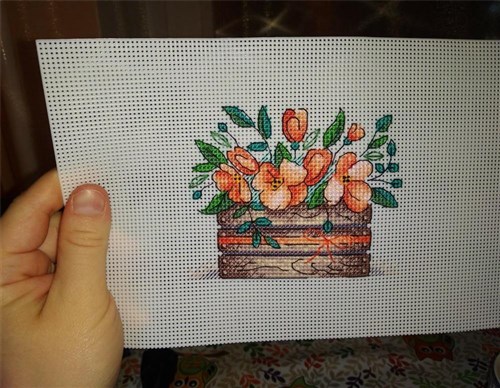 Plastic Canvas 14ct