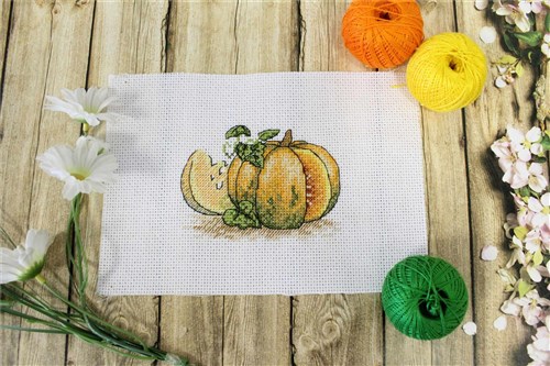 Pumpkin SM-441 Counted Cross Stitch Kit