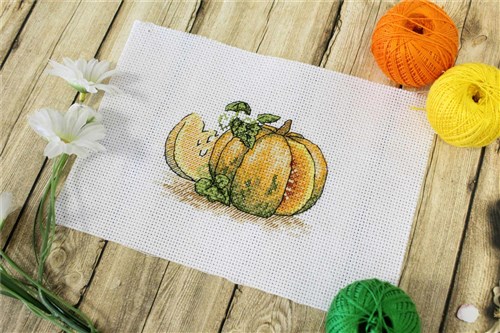Pumpkin SM-441 Counted Cross Stitch Kit