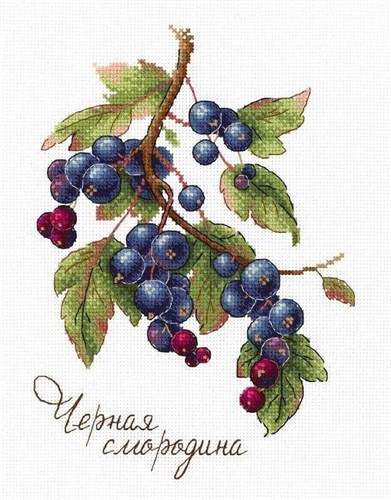 Gifts of Nature. Black Currant SNV-694 Counted Cross Stitch Kit