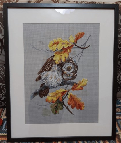 Owl Look SNV-725 Counted Cross Stitch Kit