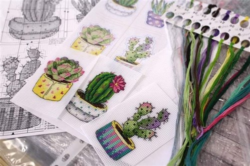 Cactuses. Magnets SR-419 Plastic Canvas Counted Cross Stitch Kit