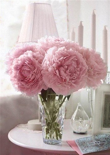 Soft Peonies WD002 10.6 x 14.9 inches Wizardi Diamond Painting Kit