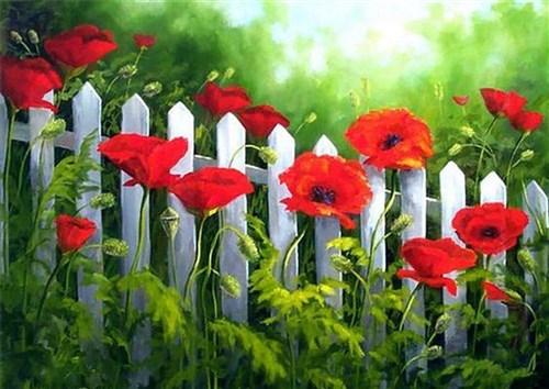 Garden Poppies WD008 14.9 x 10.6 inches Wizardi Diamond Painting Kit