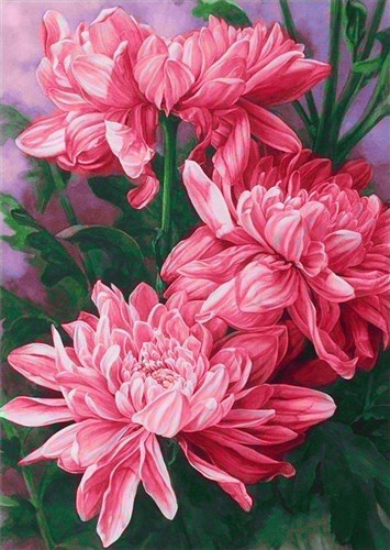 Daisies WD025 10.6 x 14.9 inches